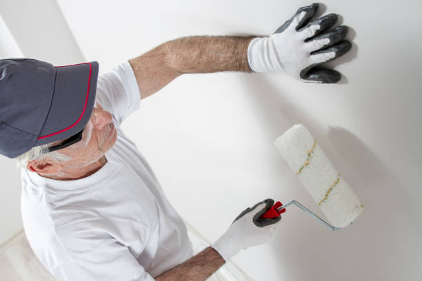 Best Black Mold Removal  in Kempner, TX